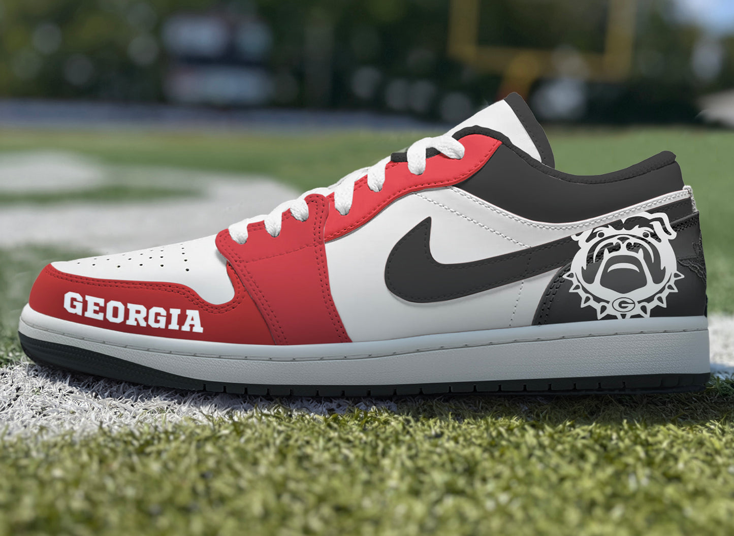 Air Jordan Custom Painted University of Georgia