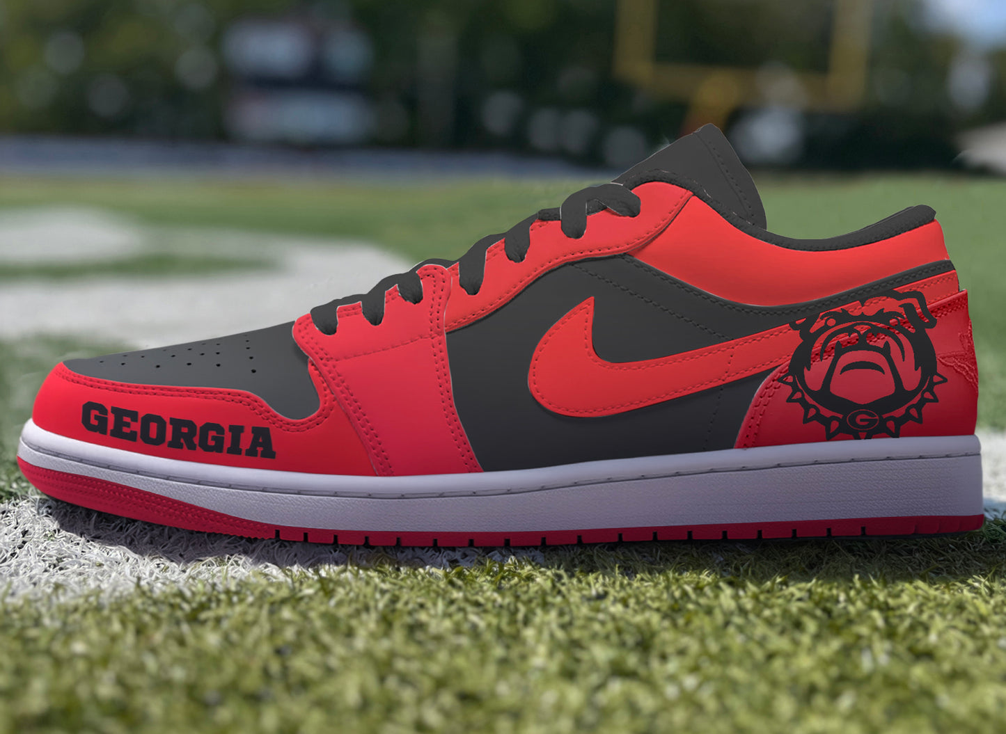 Air Jordan Custom Painted University of Georgia V2