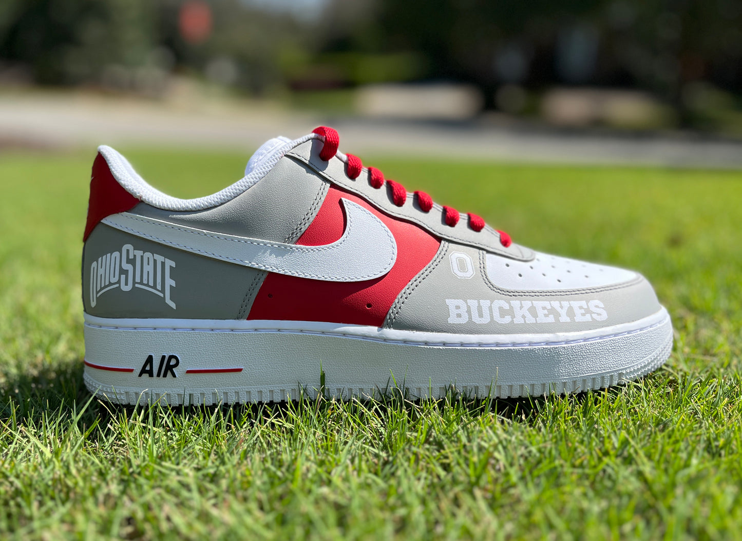 Air Force 1 Custom Painted THE Ohio State University