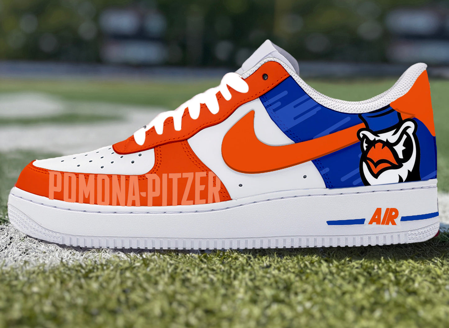 Air Force 1 Custom Painted Pomona-Pitzer Sage Hens