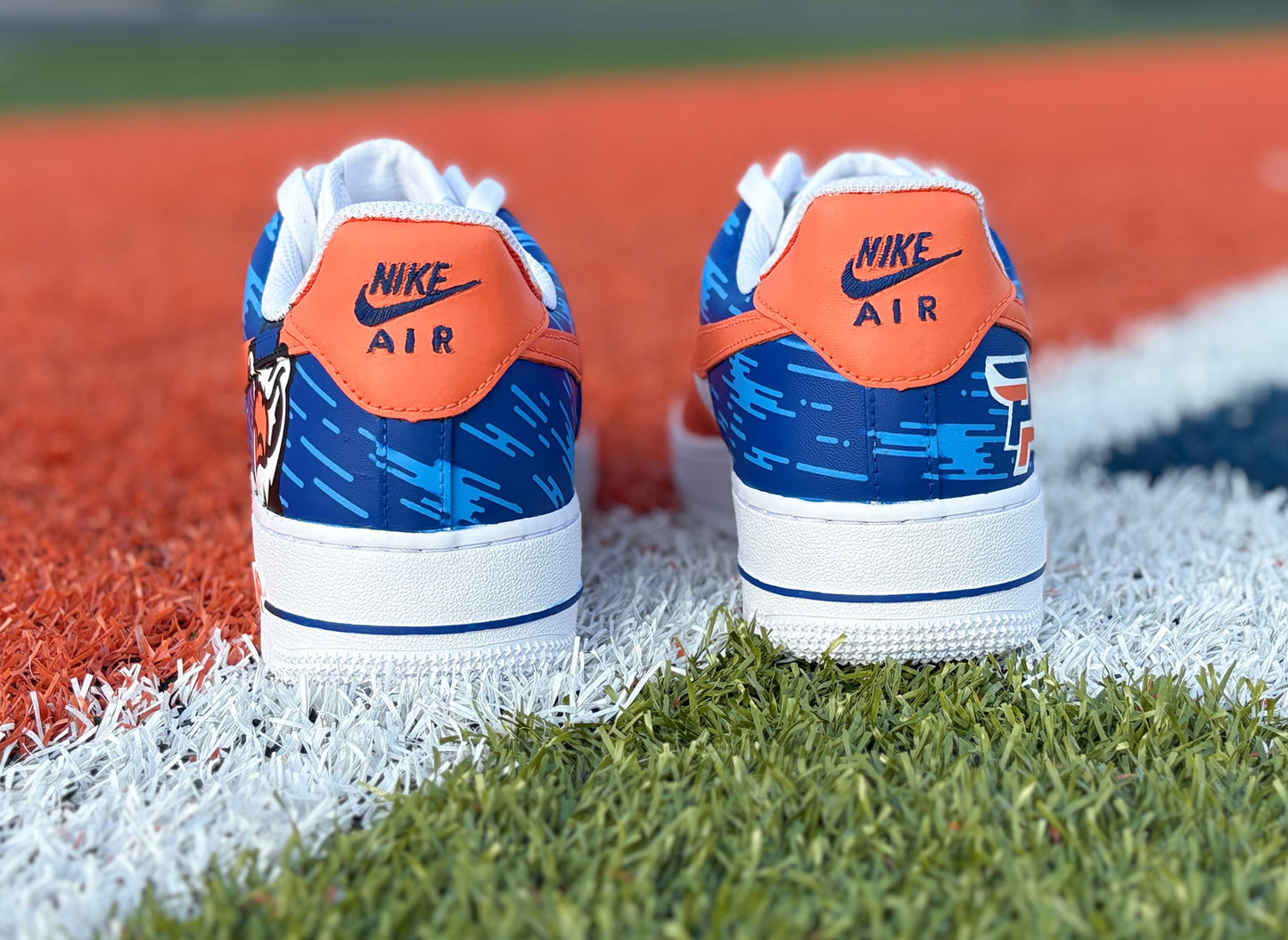 Air Force 1 Custom Painted Pomona-Pitzer Sage Hens