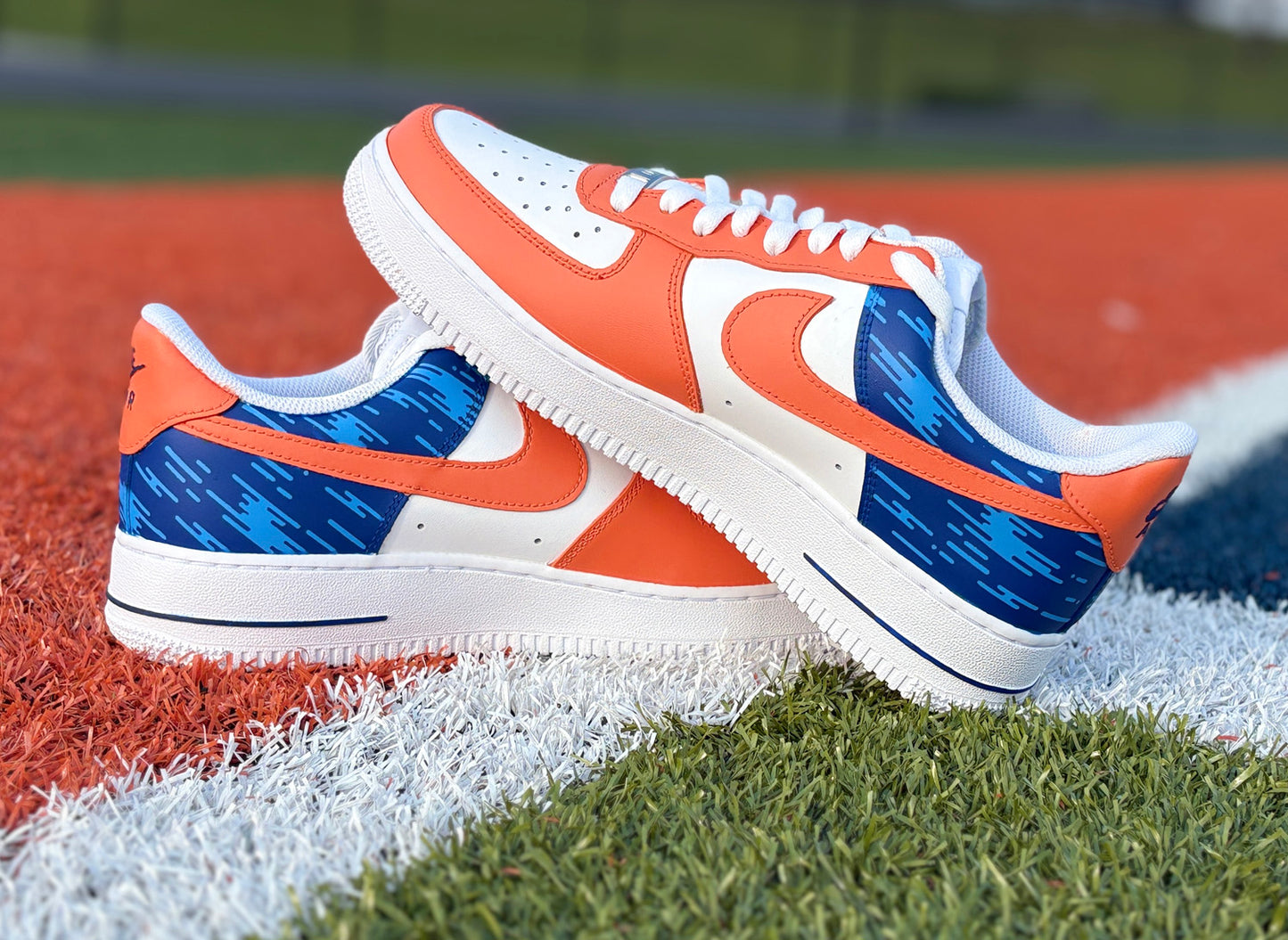 Air Force 1 Custom Painted Pomona-Pitzer Sage Hens