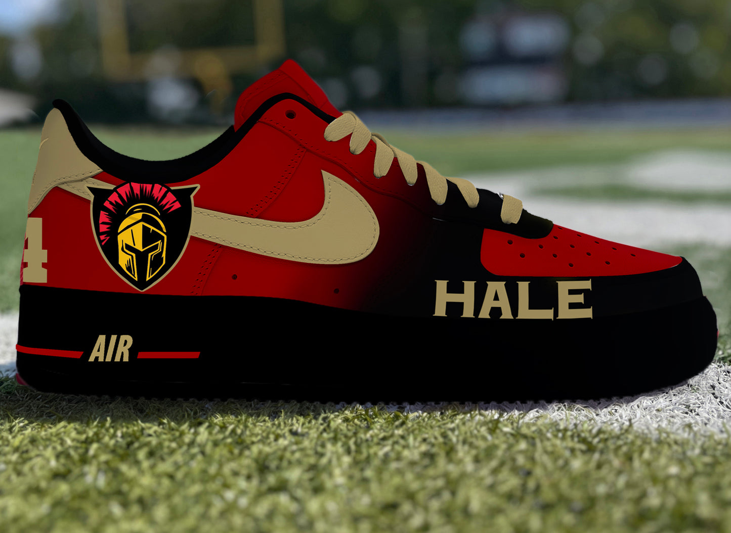 Air Force 1 Custom Painted Travel Football Titans