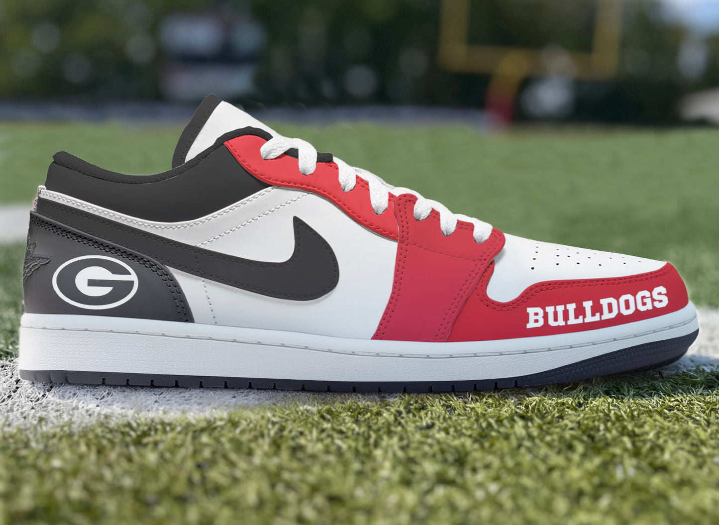 Air Jordan Custom Painted University of Georgia